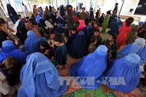 Migrant crisis: Over 350,000 Afghan refugees return home - ảnh 1